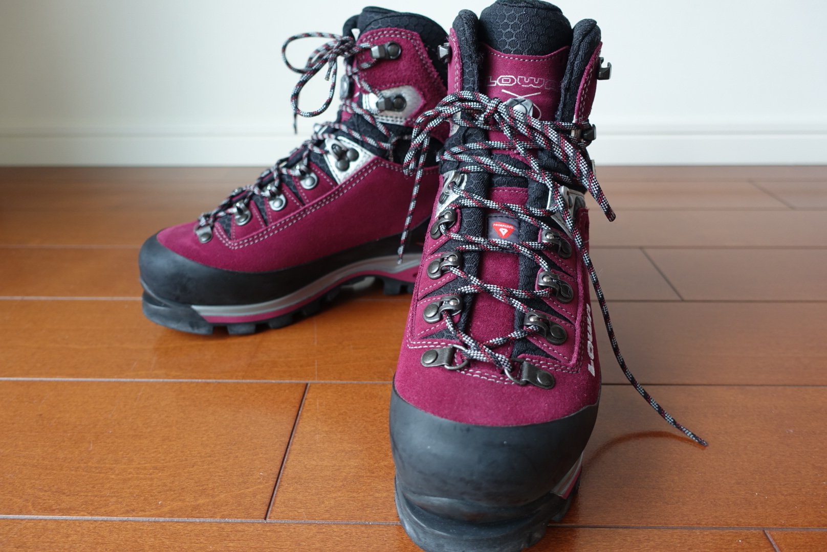 冬靴 LOWA Mountain ExpertGTX | やまのぼりブログ
